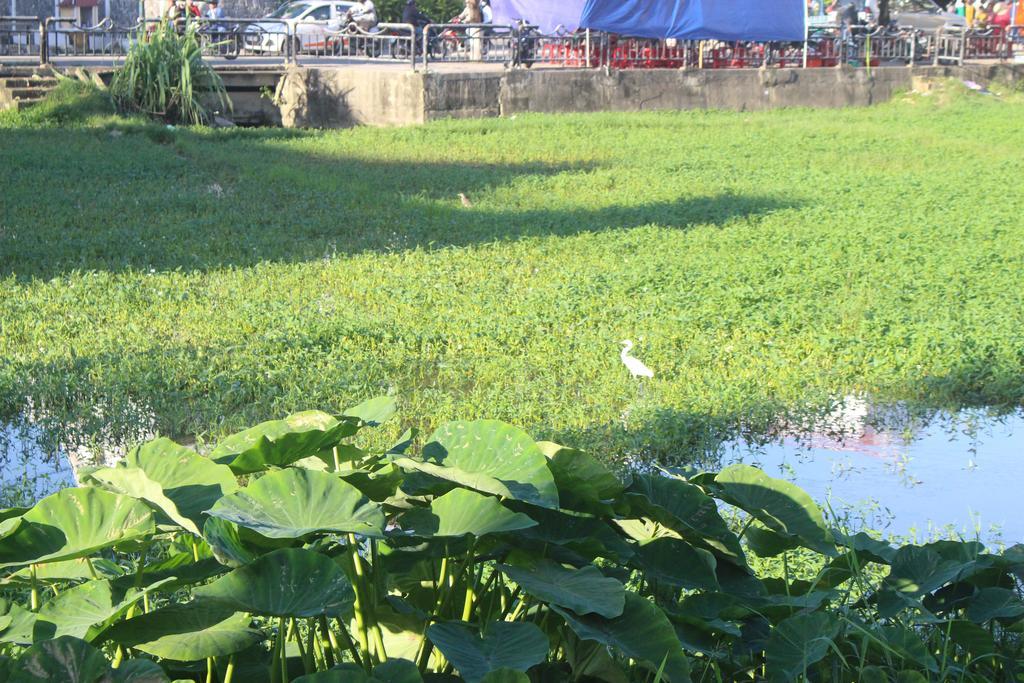 Hoi An Green View Homestay & Villa Eksteriør bilde