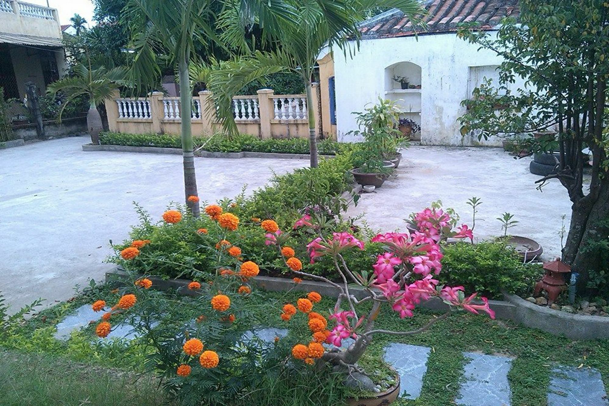 Hoi An Green View Homestay & Villa Eksteriør bilde