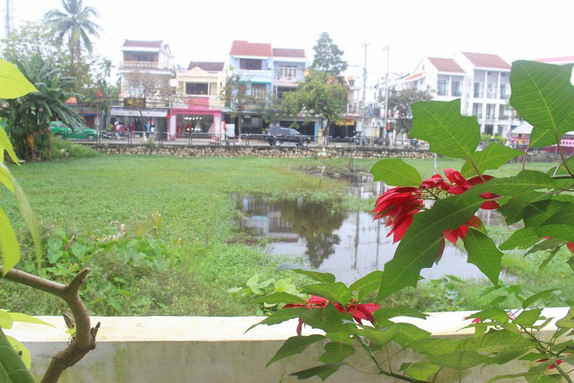 Hoi An Green View Homestay & Villa Eksteriør bilde