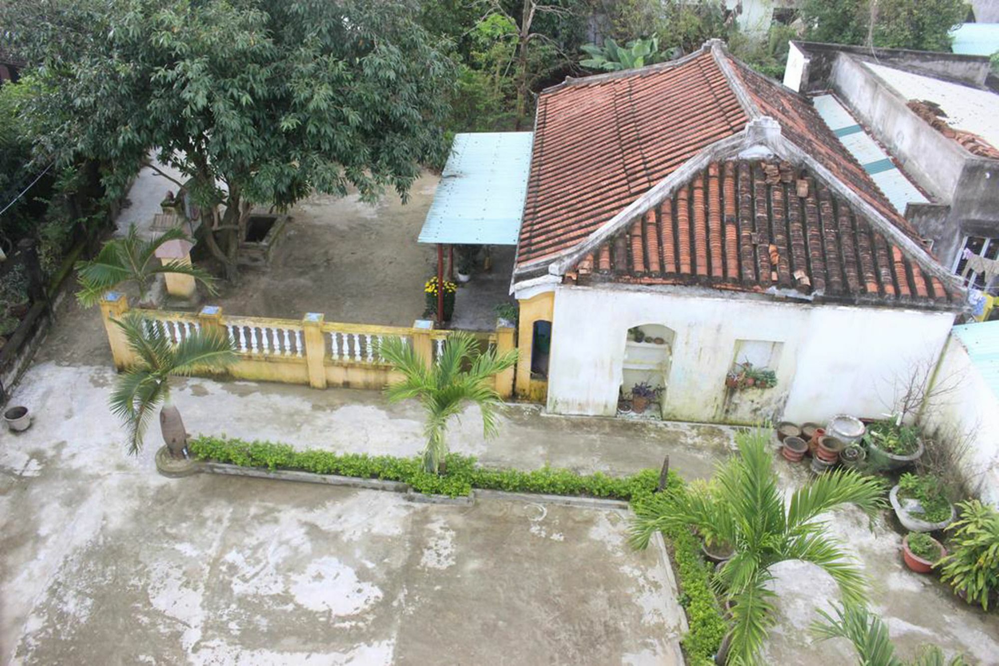 Hoi An Green View Homestay & Villa Eksteriør bilde
